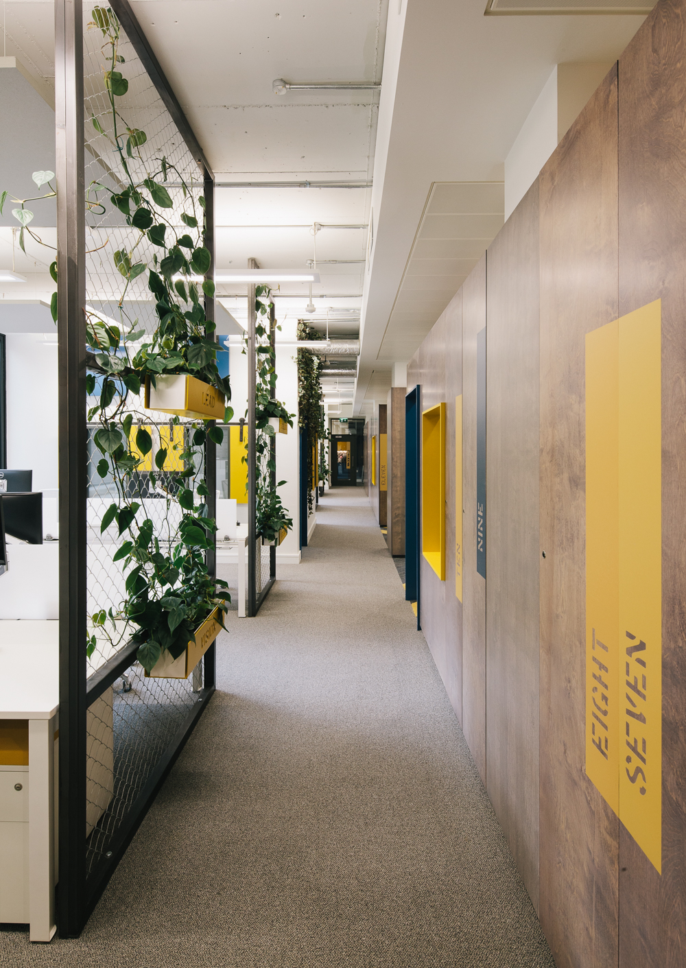 Office fitout -Liferay-main corridor